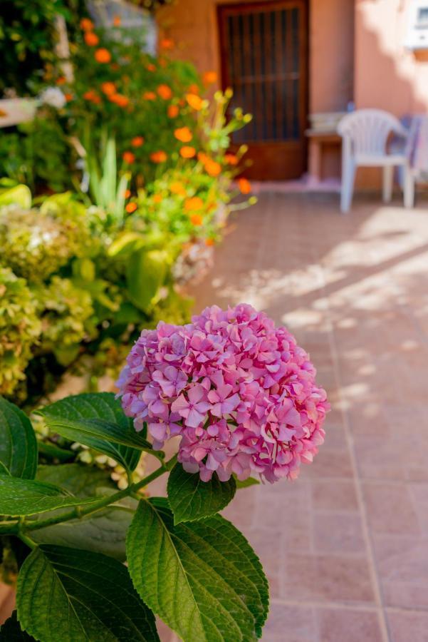Valsamis Villa Apartments Poros  Zewnętrze zdjęcie
