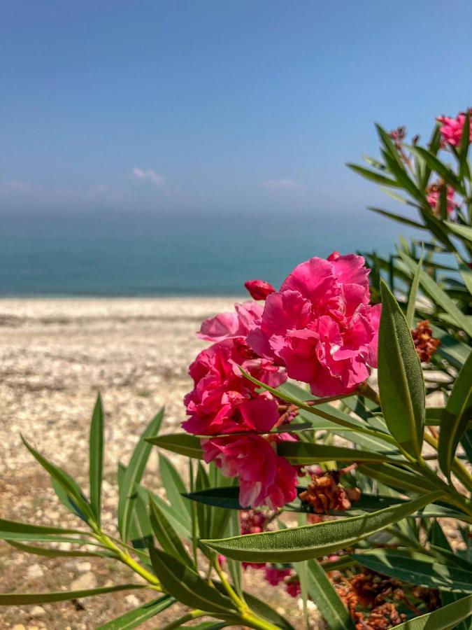 Valsamis Villa Apartments Poros  Zewnętrze zdjęcie